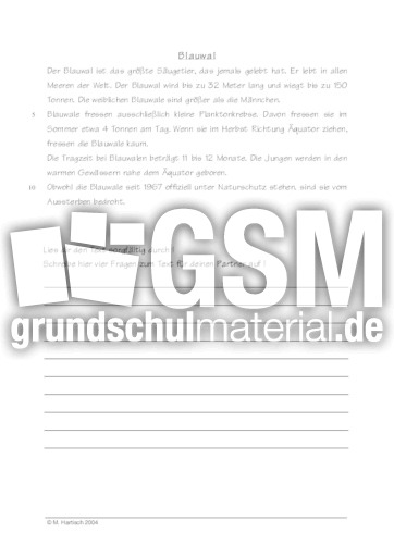 Blauwal.pdf